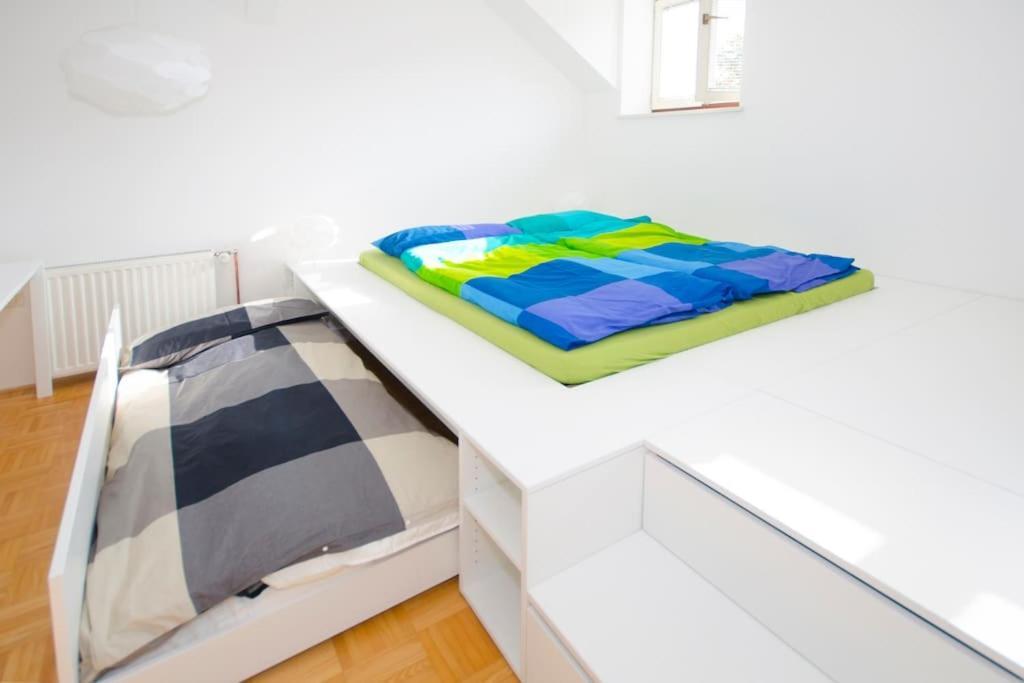 The Cute, Sunny Apartment In The Center +P Laibach Exterior foto