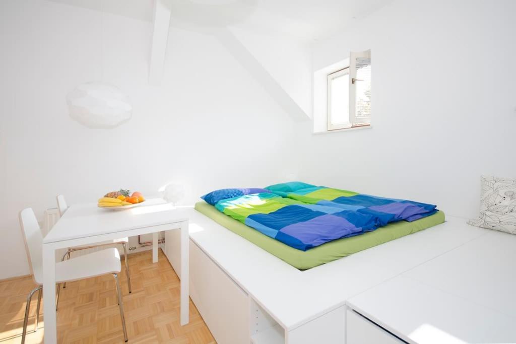 The Cute, Sunny Apartment In The Center +P Laibach Exterior foto