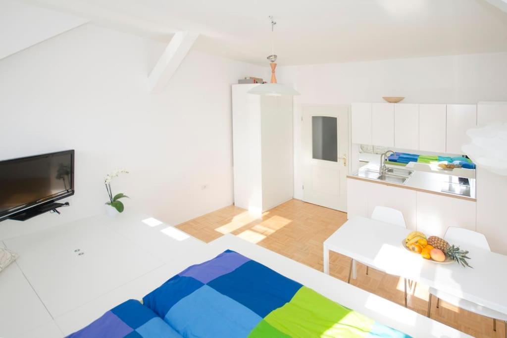 The Cute, Sunny Apartment In The Center +P Laibach Exterior foto